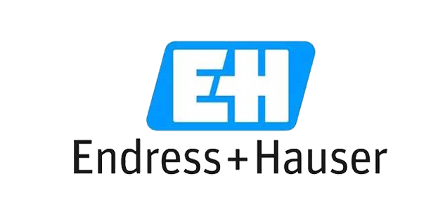 Endress-Hauser-Logo-transparent