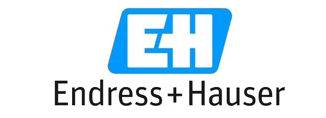 Endress-Hauser-Logo-transparent